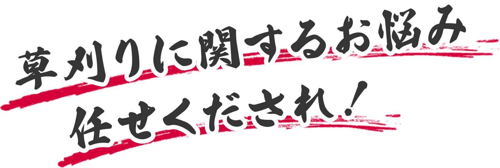 草刈りに関するお悩み任せくだされ！